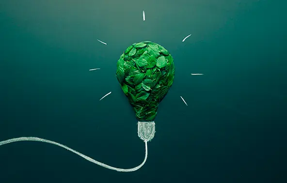 Conformidade como vantagem: como antecipar regulações globais de sustentabilidade