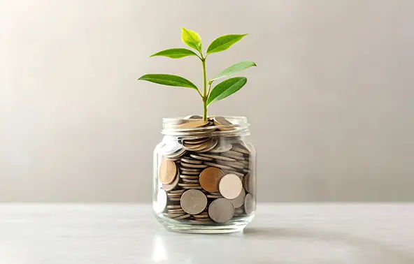 Além do Net Zero: como liderar a transição para a economia regenerativa